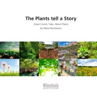 Image of The Plants Tell A Story