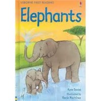 Image of Elephants