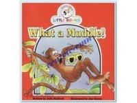 Image of What a Muddle!