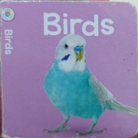 Image of Birds