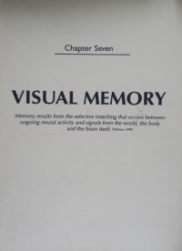 Image of Visual Memory (Chapter Seven)