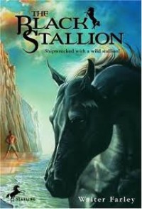 Image of The Black Stallion: Shupwrecked With a Wild Stallion