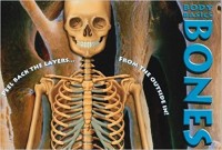 Image of Body Basics Bones