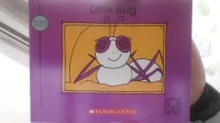 Image of Little Bug