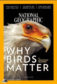 Image of Why Birds Matter
