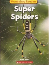 Image of Super Spiders