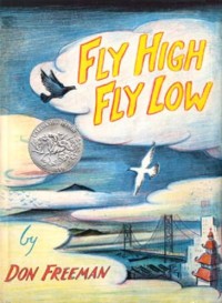 Image of Fly High, Fly Low