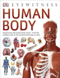 Image of Eyewitness Human Body