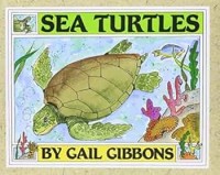 Image of Sea Turtles
