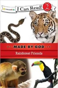 Image of Rainforest Friends