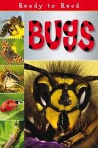 Image of Bugs!