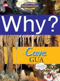 Image of Why? Cave (Gua)