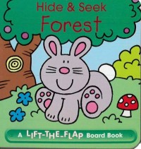 Image of Hide & Seek Forest: A Lift-the-Flap Board Book
