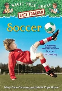 Image of Soccer