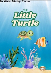 Image of The Little Turtle