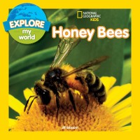 Image of Explore My World: Honey Bees