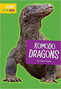 Image of Komodo Dragons (Lizards in the Wild)