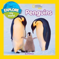 Image of Penguins