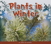 Image of Plants in Winter (Welcome, Winter!)