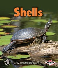 Image of Shells (First Step Nonfiction ― Body Coverings)