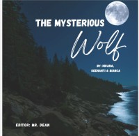 Image of The Mysterious Wolf