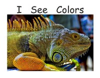 Image of I See Colors