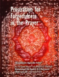 Image of Prostration of Forgetfulness in the Prayer